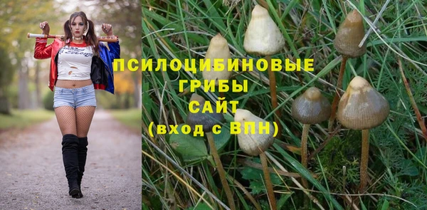 амф Аркадак