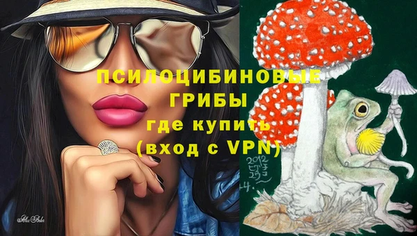 амф Аркадак