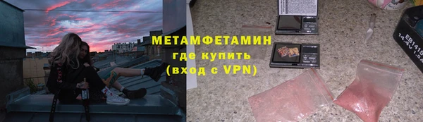 прущие грибы Балабаново