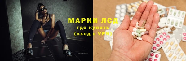 прущие грибы Балабаново