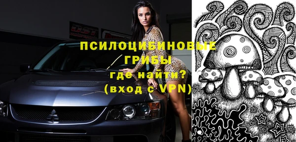 прущие грибы Балабаново
