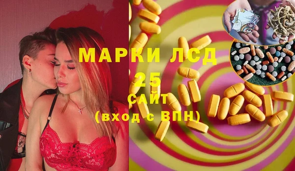 индика Армянск
