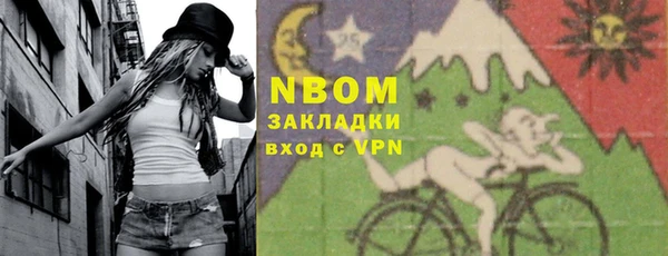 индика Армянск