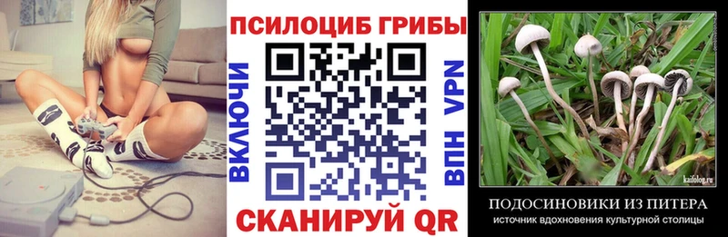 Псилоцибиновые грибы Magic Shrooms  Солнечногорск 