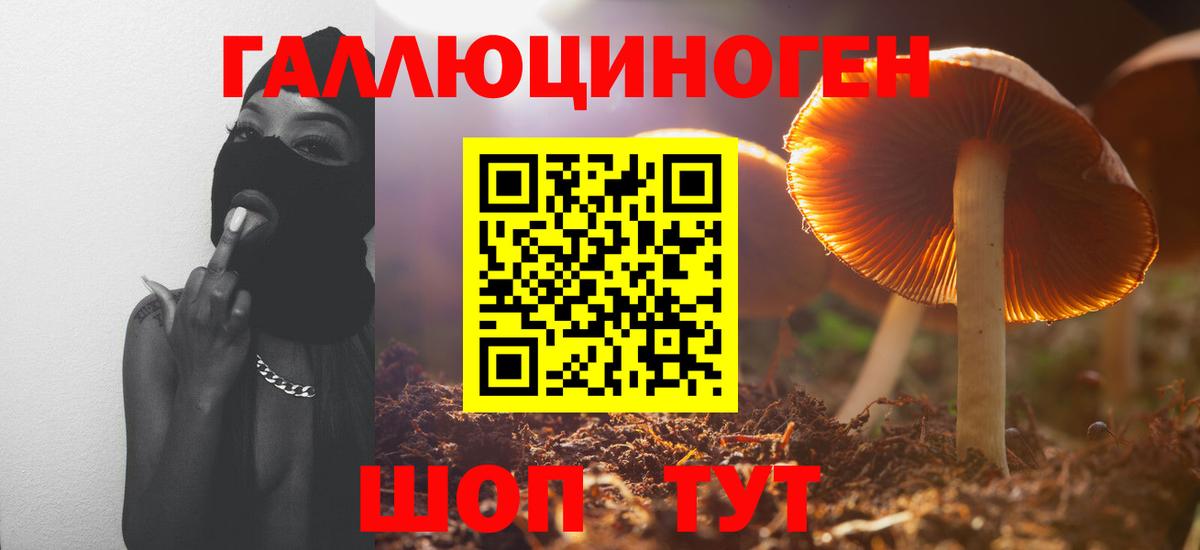 Галлюциногенные грибы мицелий  Вход с VPN  Псилоцибиновые грибы мицелий  Солнечногорск 