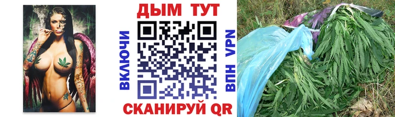 Каннабис ГИДРОПОН  цены   Солнечногорск 